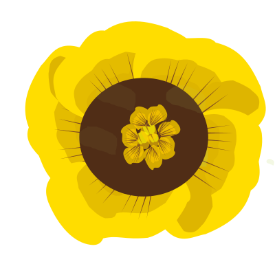 Flower yellow clipart