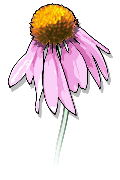 Flower2 clipart