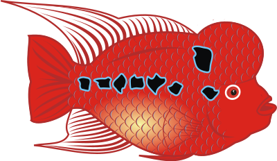 Flowerhorn Fish clipart