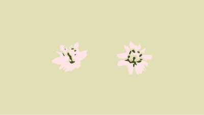 Flowers clipart