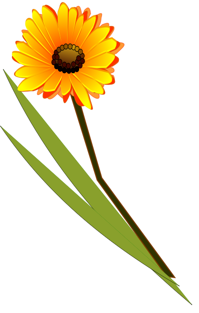 Flowers-gerbera clipart