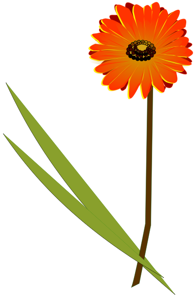 Flowers gerbera clipart