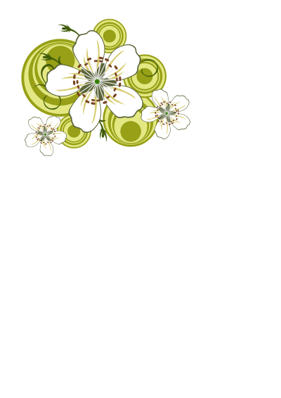 Flowers of blackthorn clipart