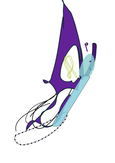 Flutterby clipart