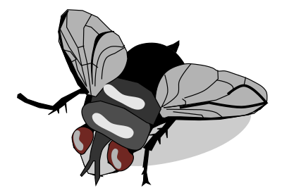 Fly clipart