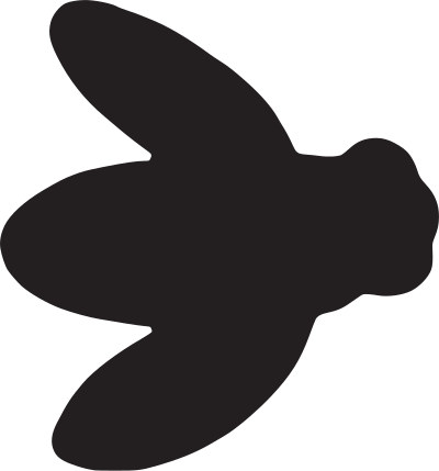 Fly clipart