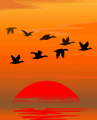 Flying birds clipart