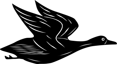 Flying duck clipart