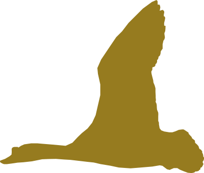 Flying goose clipart