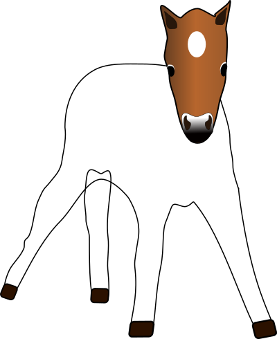 Foal clipart