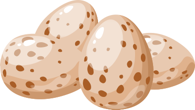 Food Egg Plain clipart