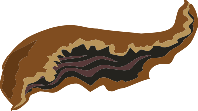 Food Goat Ear Fried clipart