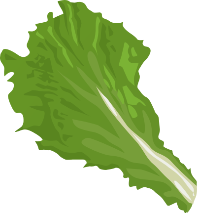 Food Green Leaf clipart