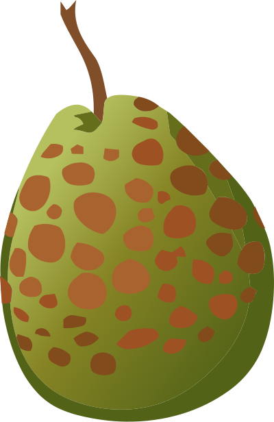 Food Guava Spotted clipart