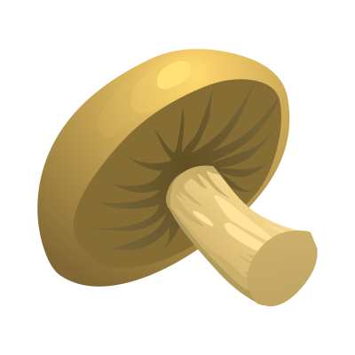 Food Mushroom clipart