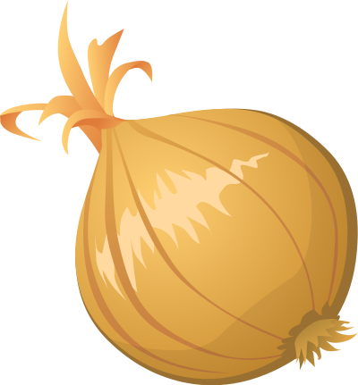 Food Onion clipart