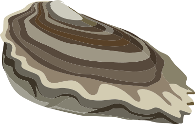 Food Oysters Ocean clipart