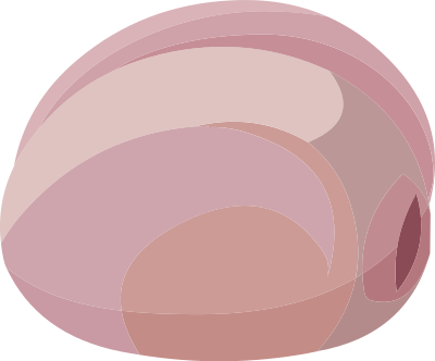 Food Oysters Prairie clipart