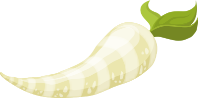 Food Parsnip clipart
