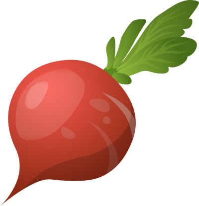 Food Radish clipart
