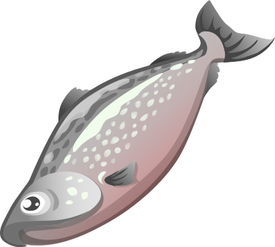 Food Salmon clipart