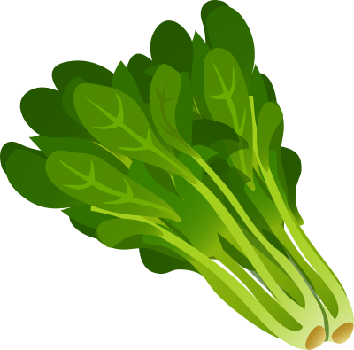 Food Spinach clipart