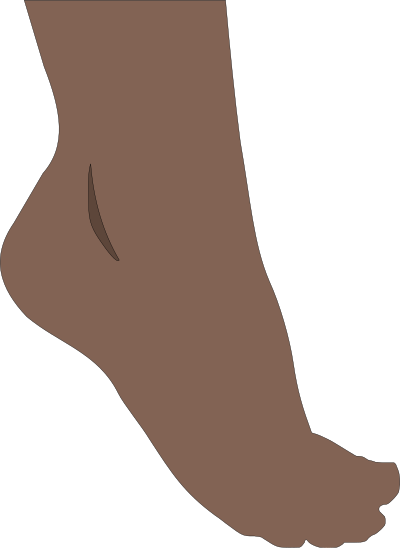 Foot clipart