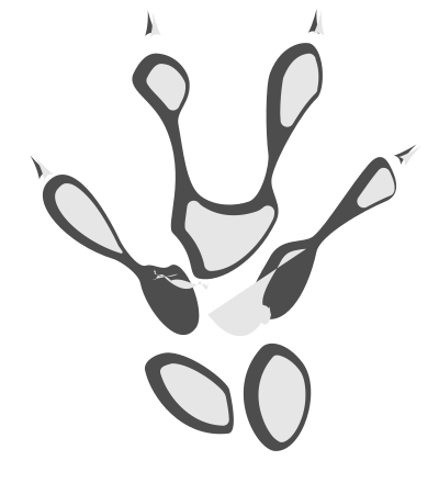 Footprint #4 clipart