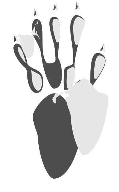Footprint #5 clipart