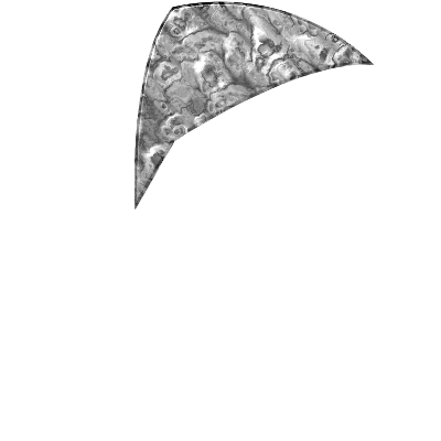 Fossilized Shutter Icon clipart