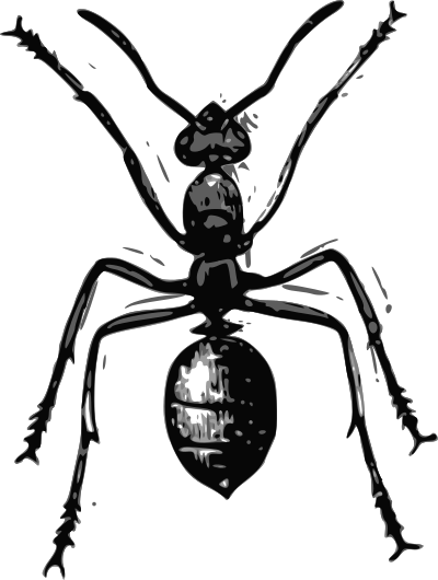 Fourmi clipart