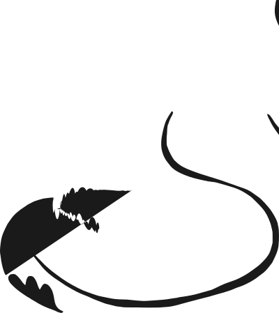 Fox clipart