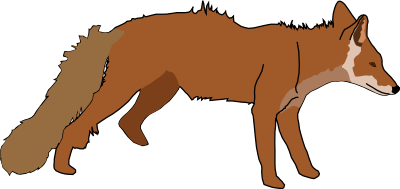 Fox clipart