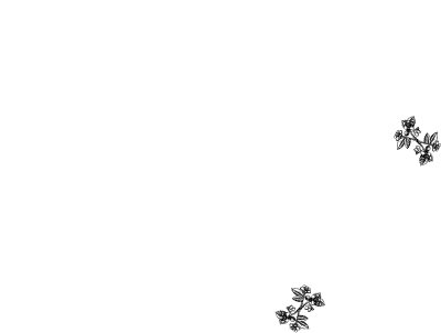 Frame 41 clipart