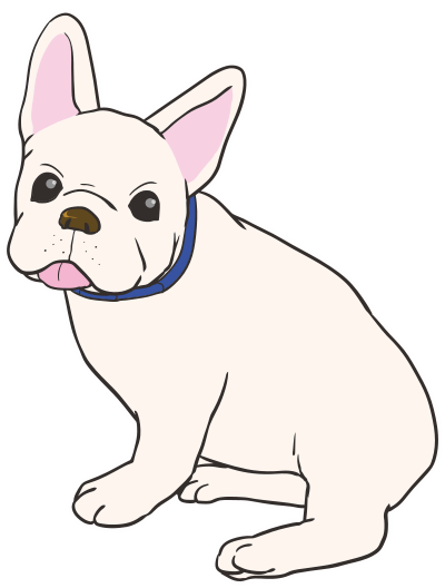 French bulldog clipart
