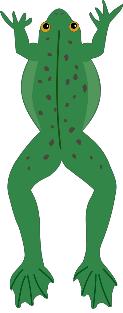 Frog clipart