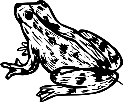 Frog 9 clipart
