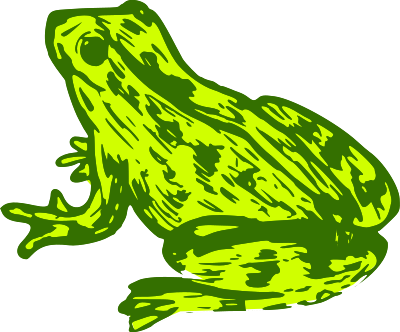 Frog 9 (colour) clipart