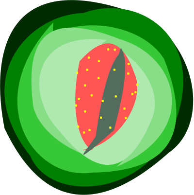 Fruit Layer clipart