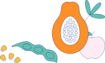 Fruits and Veggies clipart