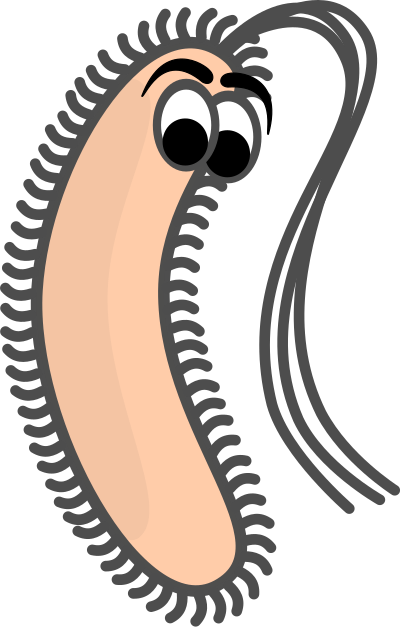 Funny Bacillus clipart