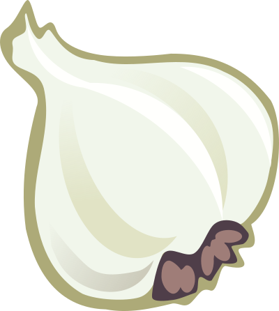 Garlic clipart