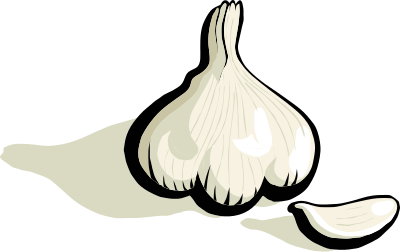 Garlic clipart