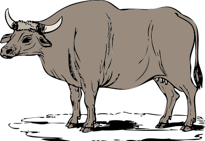 Gaur clipart