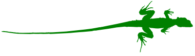Gecko with a very long tail clipart
