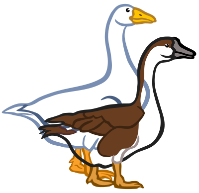Geese - coloured clipart
