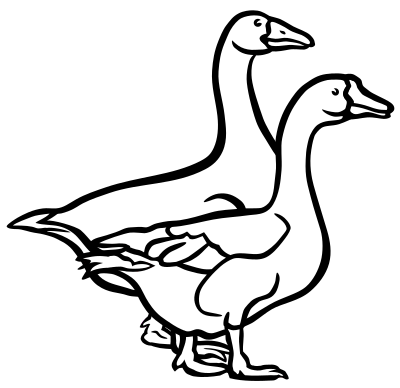Geese - lineart clipart