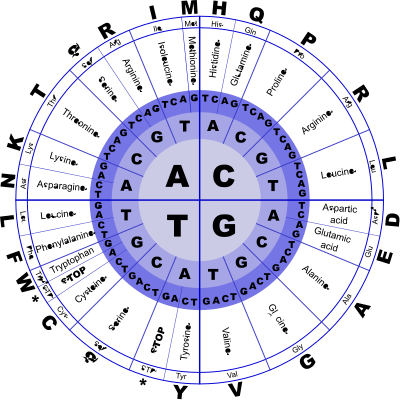 Genetic Code clipart