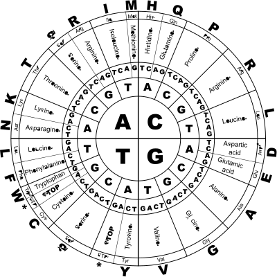 Genetic Code BW clipart