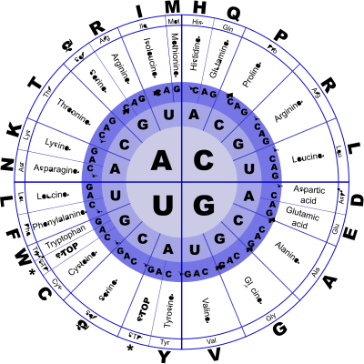 Genetic Code RNA clipart